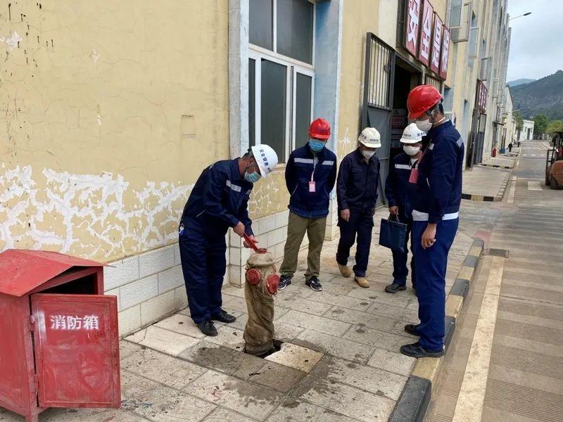 锌业股份最新动态与小巷中的美食惊喜