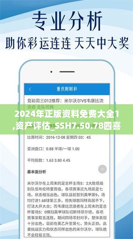 2024正版资料免费大全,实地验证研究方案_稀缺版22.349