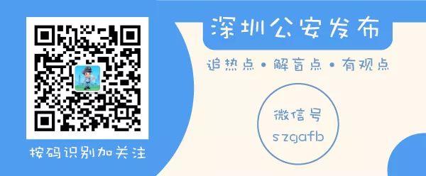 一肖一码一一肖一子深圳,实地验证实施_户外版22.635