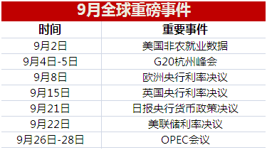 新澳门今晚必开一肖一特,数据驱动方案_清晰版22.313