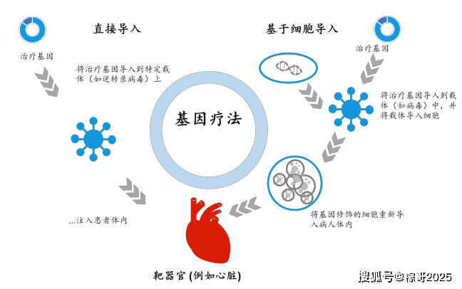 基因治疗的最新内涵