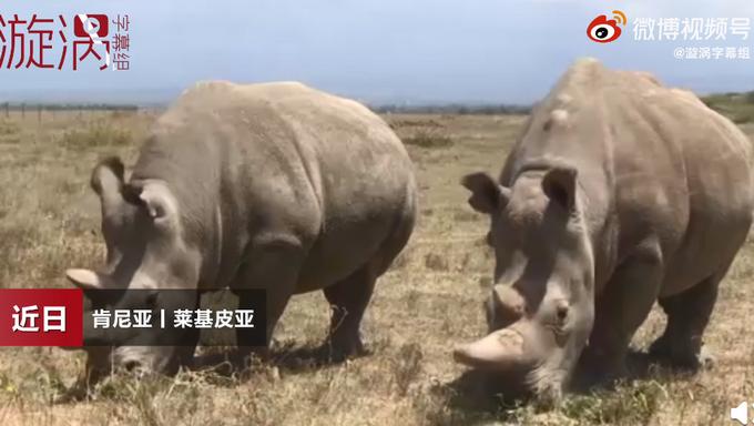 人造卵子研究，奇妙旅程探索生命起源，家的温暖未来展望