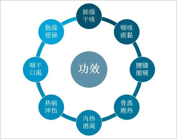 冬枣品种 第152页