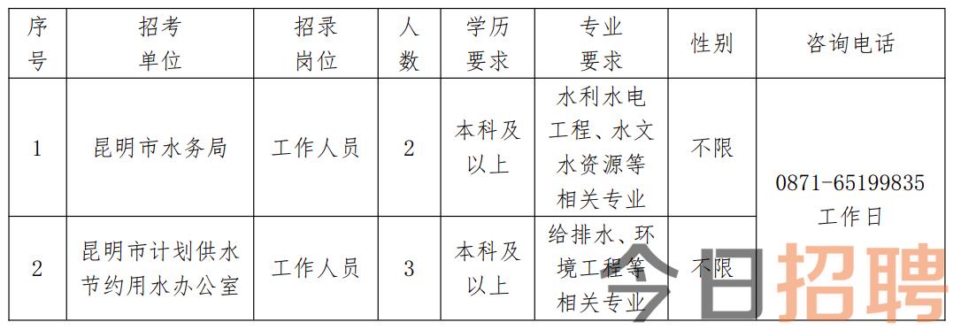 桦南人才招聘最新职位揭秘，科技前沿引领职场新篇章