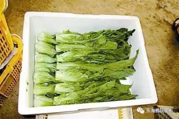 食菜网最新事件概述，最新动态与进展