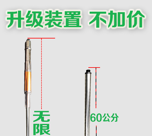 冬枣品种 第118页