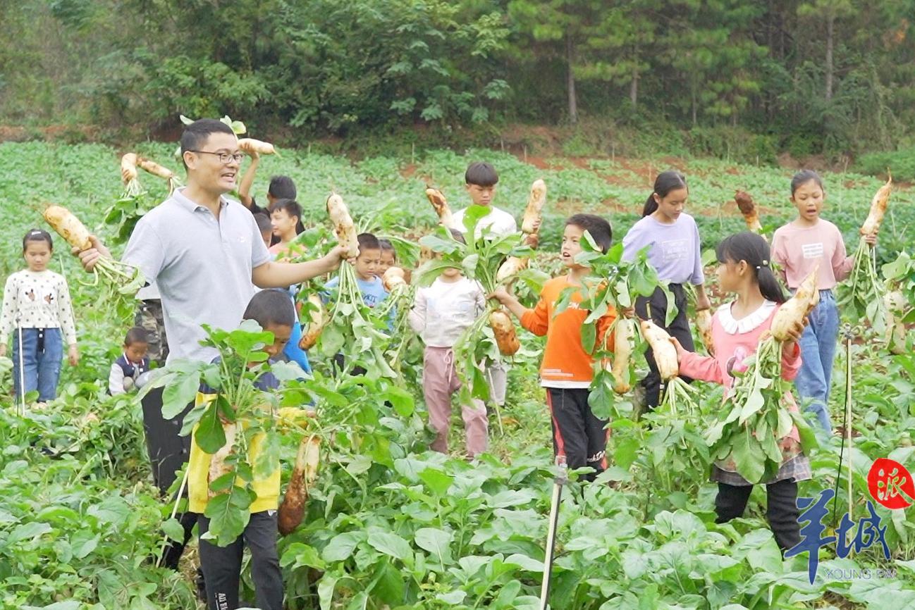 最新家庭摄像头种子