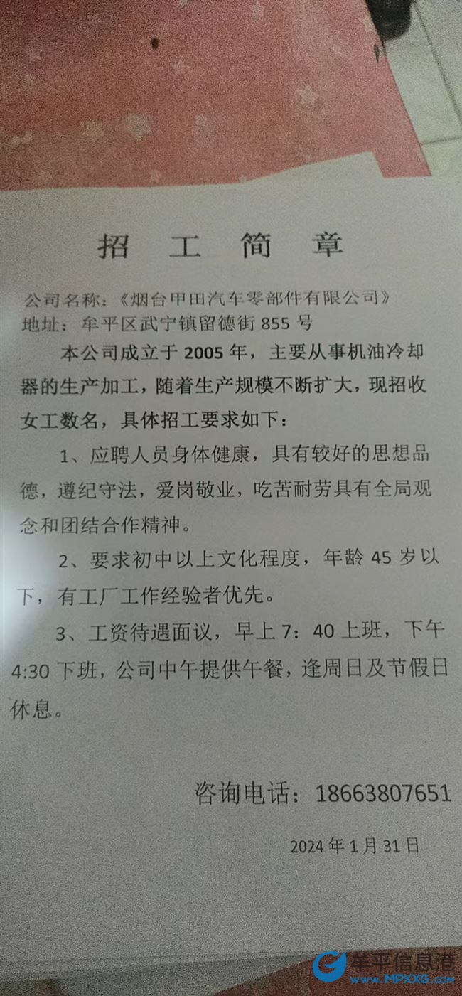 鞍山最新立山急招女工,鞍山最新立山急招女工，科技引领未来，智能工厂呼唤新时代女性力量