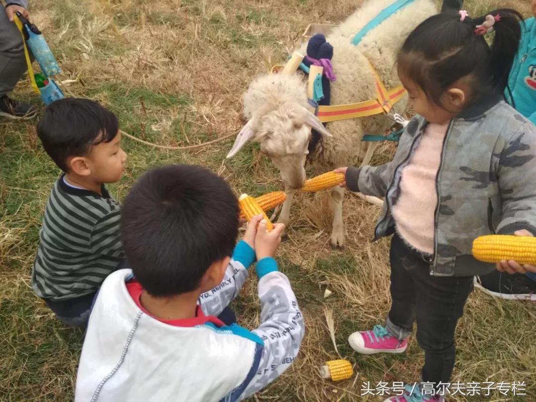 东南智汇城最新估价揭秘，城市潜力与价值高地一览