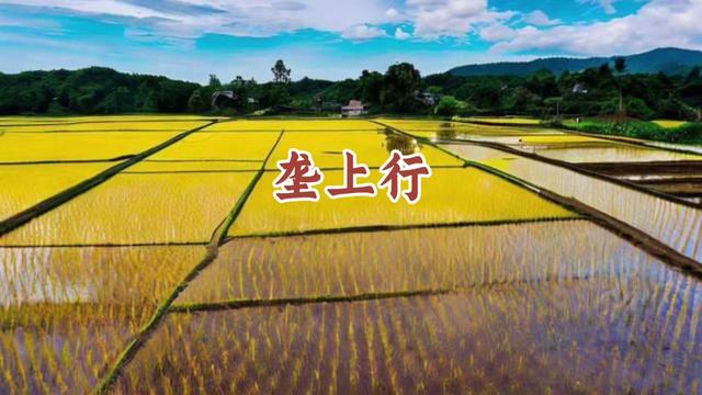 垄上行和事佬最新一期
